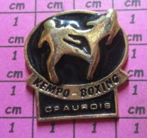 513G Pin's Pins / Beau Et Rare / SPORTS / KEMPO BOXING CP AUROIS - Boxe