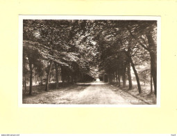 Nijverdal Autoweg Door Bos Naar Holten 1951 ST016 - Nijverdal