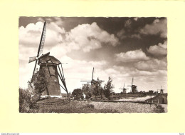 Kinderdijk Molens In Landschap RY41885 - Kinderdijk