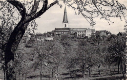 BELGIQUE - Looz - Panorama Vers L'Eglise Et Le Doyenné - Carte Postale Ancienne - Borgloon