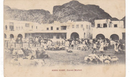 Asie - Aden Campn Camel Market - Yémen