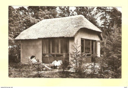 Doorn Bungalow Het Grote Bos 1959 RY22716 - Doorn