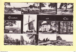 Ede 12-luik Met Molen RY20511 - Ede