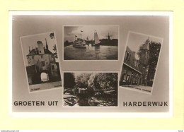 Harderwijk 4-luik 1954 RY26185 - Harderwijk