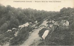 Fresselines * Bergère Dans Les Côtes De Drablet * Troupeau Moutons - Andere & Zonder Classificatie