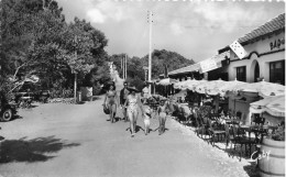 Domino , Ile D'oléron * Bar De La Plage Et L'avenue * Villageois - Ile D'Oléron