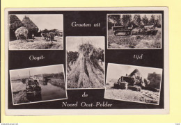 Noord-Oost Polder 5-luik Oogsttijd 1954 RY21546 - Otros & Sin Clasificación