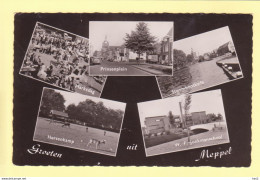 Meppel 5-luik 1959 RY21590 - Meppel