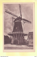 Putten  Molen RY19376 - Putten