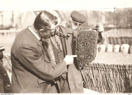 Tilburg Persfoto Bijenmarkt 1931 KE684 - Tilburg