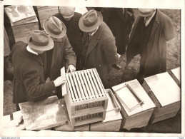 Tilburg Persfoto Imker Bijenmarkt 1930 KE693 - Tilburg