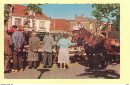 Texel Den Burg Markt RY20049 - Texel