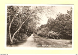 Terschelling Longway Landschap 1950 RY24705 - Terschelling