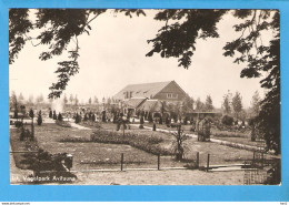 Alphen A.d. Rijn Avifauna 1950 RY48417 - Alphen A/d Rijn