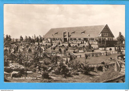 Alphen A.d. Rijn Avifauna 1950 RY48379 - Alphen A/d Rijn