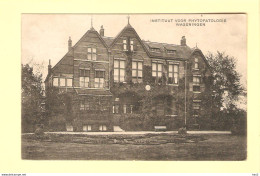 Wageningen Instituut Phytopathologie 1921 RY23616 - Wageningen