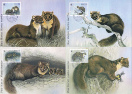 Irlande - WWF : Martre Des Pins (Martes Martes) CM 801/804 (année 1992) - Tarjetas – Máxima