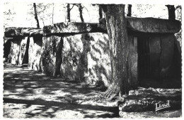 MENHIR - BAGNEUX - Le Dolmen - Dolmen & Menhire