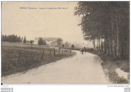 GRAIDE ..-- La GARE Et Route De BAILLAMONT . 1933 Vers CHENEE ( Mr Mme SLUYSMANS ) . Voir Verso . - Bievre