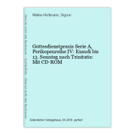 Gottesdienstpraxis Serie A, Perikopenreihe IV: Exaudi Bis 13. Sonntag Nach Trinitatis: Mit CD-ROM - Sonstige & Ohne Zuordnung