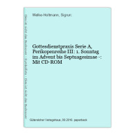 Gottesdienstpraxis Serie A, Perikopenreihe III: 1. Sonntag Im Advent Bis Septuagesimae -: Mit CD-ROM - Other & Unclassified