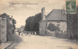 53-PRE-EN-PAIL- RUE DU CHAMP DE FOIRE - Pre En Pail