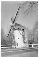 E648 - Leiden - Foto Ong 13x9.5cm - Molen - Moulin - Mill - Mühle - Leiden