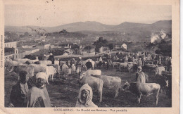 ALGERIE(SOUK AHRAS) MARCHE(VACHE) - Souk Ahras