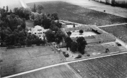 Cissac Médoc * Vignoble Du Château Hanteillan Et Domaine Coutelin Merville * Viticulteur Vin - Other & Unclassified