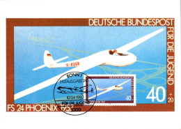 ALLEMAGNE CARTE MAXIMUM 1980 AVION PLANEUR - Altri & Non Classificati