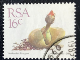 RSA - South Africa - Suid-Afrika  - C18/6 - 1988 - (°)used - Michel 748 - Vetplanten - Used Stamps