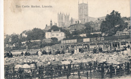 LINCOLN  THE CATTLE MARKET           2 SCANS - Lincoln