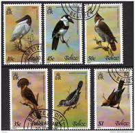 WWF Tropische Vögel 1980 Belize 493/8 O 10€ Jabiru Meise Tyrann Faulvogel Adler Tungare Hoja Fauna Birds Set Bf Honduras - Usati