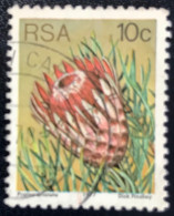 RSA - South Africa - Suid-Afrika  - C18/6 - 1977 - (°)used - Michel 521 - Protea - Gebraucht