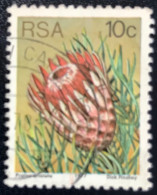 RSA - South Africa - Suid-Afrika  - C18/6 - 1977 - (°)used - Michel 521 - Protea - Usati