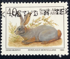RSA - South Africa - Suid-Afrika  - C18/6 - 1993 - (°)used - Michel 895 - Bedreigde Dieren - Used Stamps