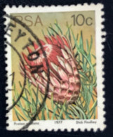 RSA - South Africa - Suid-Afrika  - C18/6 - 1977 - (°)used - Michel 521 - Protea - Gebraucht