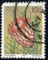 RSA - South Africa - Suid-Afrika  - C18/6 - 1977 - (°)used - Michel 521 - Protea - Usati