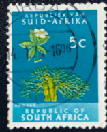 RSA - South Africa - Suid-Afrika  - C18/7 - 1973 - (°)used - Michel 434 - Baobab - Oblitérés