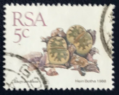 RSA - South Africa - Suid-Afrika  - C18/7 - 1988 - (°)used - Michel 745 - Vetplanten - Gebruikt