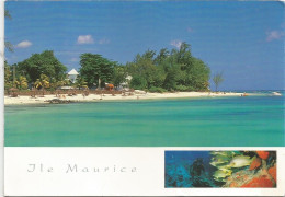 CPM Ile Maurice - Maurice