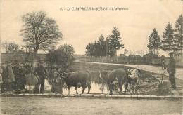 LA CHAPELLE LA REINE L'ABREUVOIR VACHES - La Chapelle La Reine