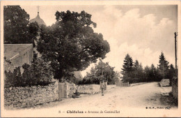 S14078 Cpa 23 Châtelus Malvaleix - Avenue De Genouillat - Chatelus Malvaleix