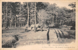 ¤¤  -  LE GAVRE   -   En Forêt  -  Chasse à Courre   -  En Attendant Le Passage Du Cerf   -  Chasseurs     -   ¤¤ - Le Gavre