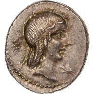 Monnaie, Calpurnia, Denier, 90 BC, Rome, SUP+, Argent, Crawford:340/1 - Röm. Republik (-280 / -27)