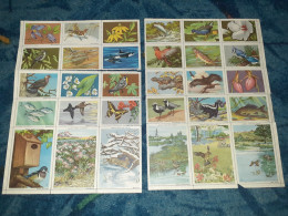 National Wildlife Conservation Stamps, Uncomplete 1957 Serie - US, United States, Washington DC, Nature, Animal, Flower - Ongebruikt