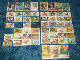 National Wildlife Conservation Stamps, Uncomplete 1946 Serie - US, United States, Washington DC, Nature, Animal, Flower - Unused Stamps