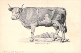 SINNENTHALER - KUH - Vache - Carte Postale Ancienne - Kühe