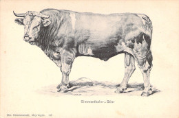 SINNENTHALER - STIER - Vache - Carte Postale Ancienne - Kühe