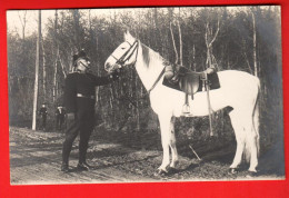 ZWF-12  Caserne De Bière Fernand Hubert Dragon Avec Son Bon Copain Cheval Blanc Militaire Militär  - Bière